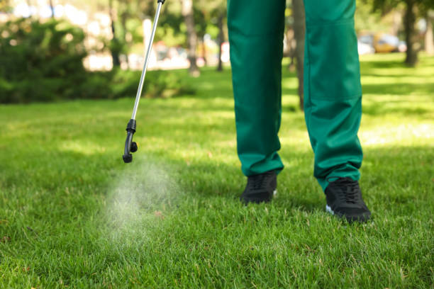 Best Best Pest Control Companies  in Emmetsburg, IA