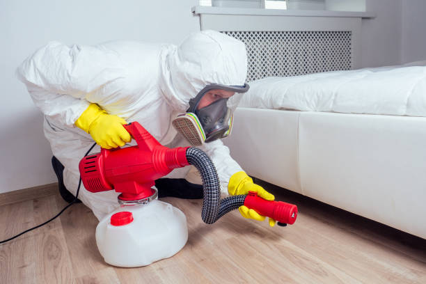 Best Mosquito Control Services  in Emmetsburg, IA