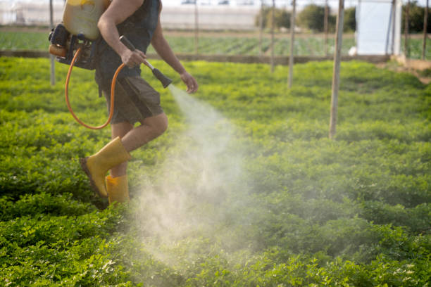 Flea Control Services in Emmetsburg, IA