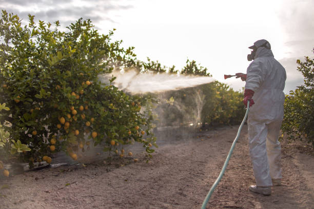 Emmetsburg, IA Pest Control Company