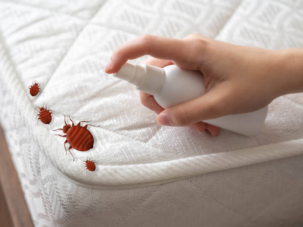 Best Residential Pest Control  in Emmetsburg, IA