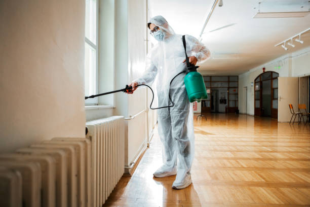 Best Pest Control Near Me  in Emmetsburg, IA